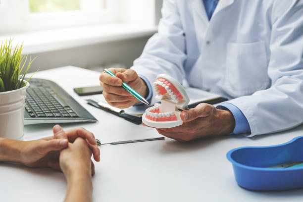 Best Preventive Dentistry  in Belleair Bluffs, FL